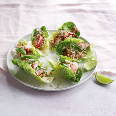 Chicken larb with lime radishes