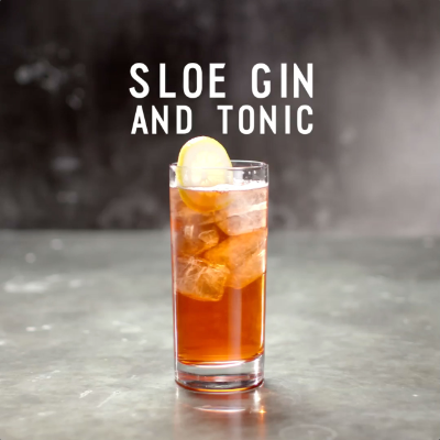 sloe-gin-and-tonic
